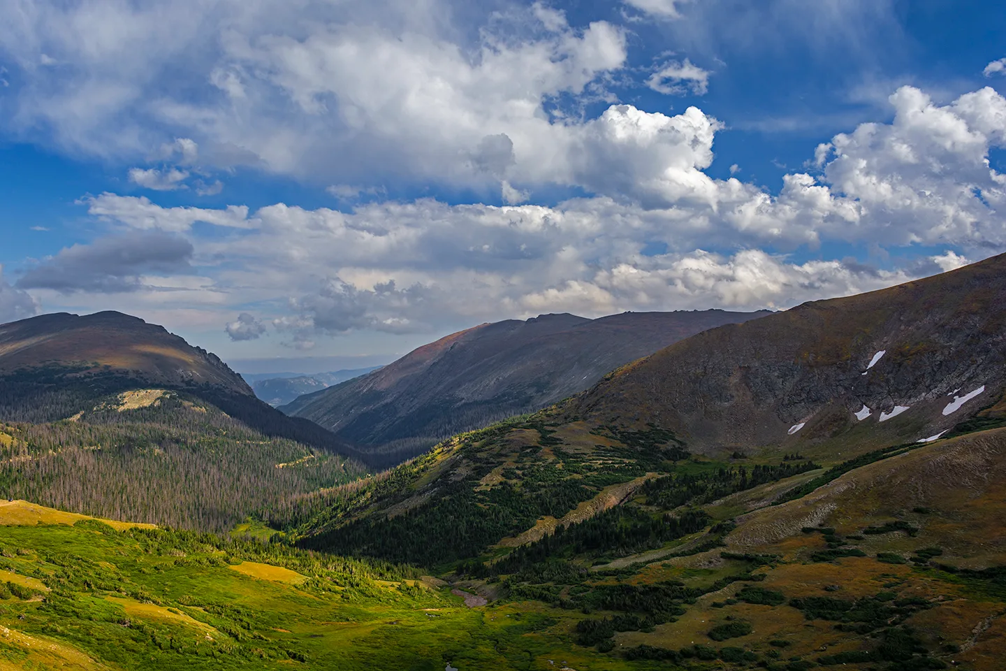 Rockymtn 13