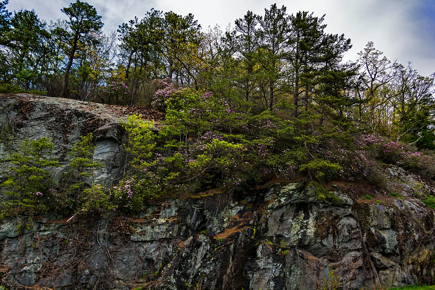 Blue Ridge 7