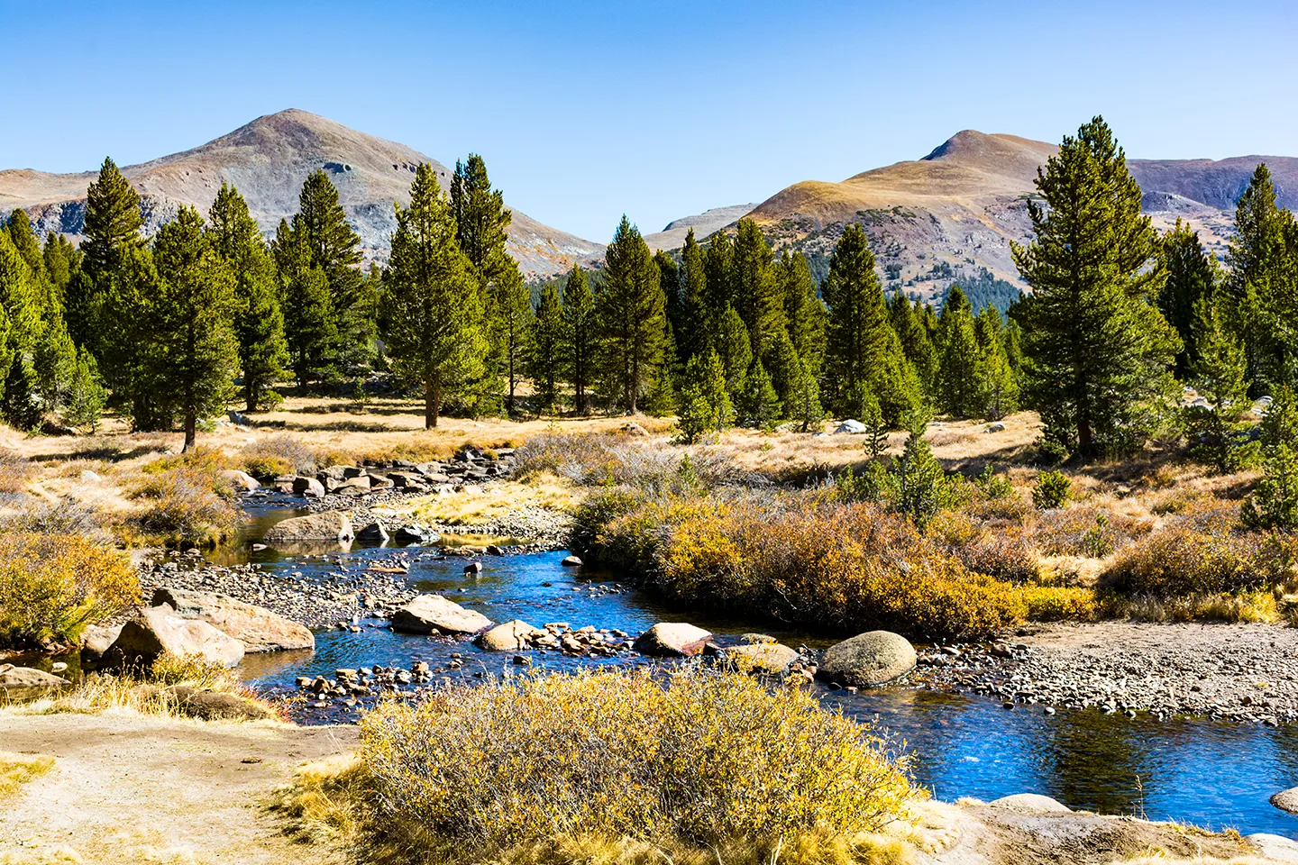 Yosemite 23