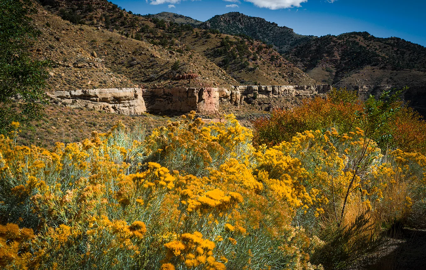 Utah 1