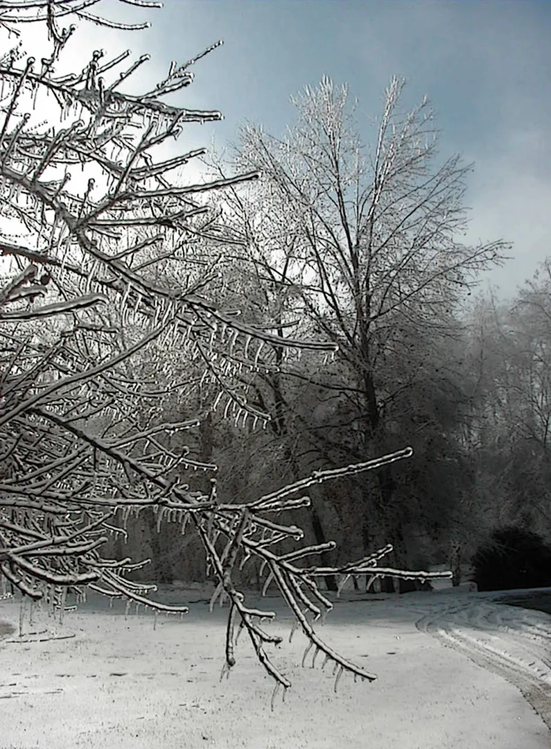 Ice Storm Remake 1