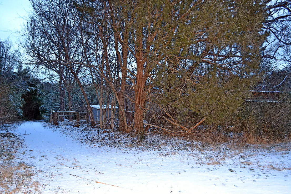 Snow 2