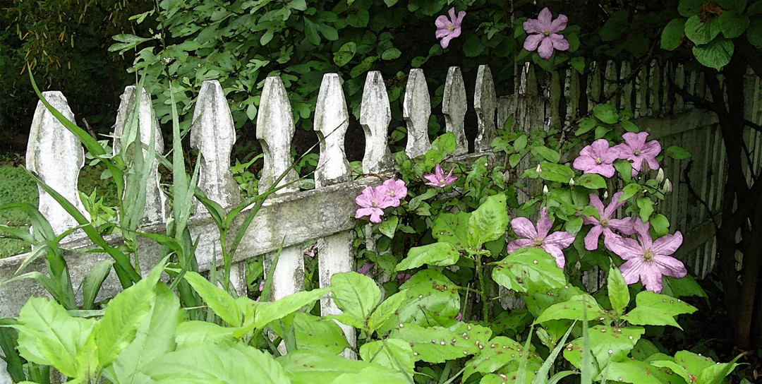 Cl Fence