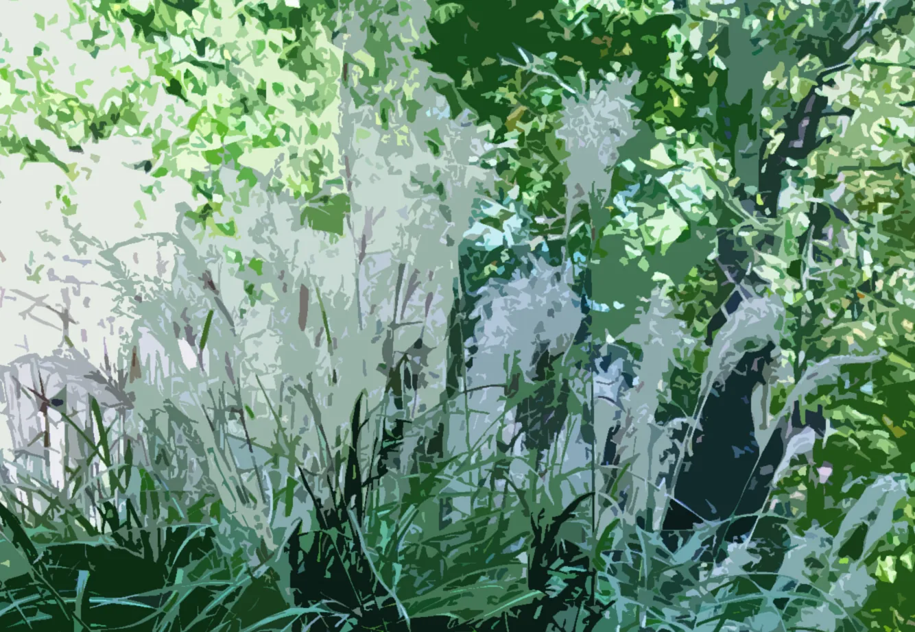 Grass 2