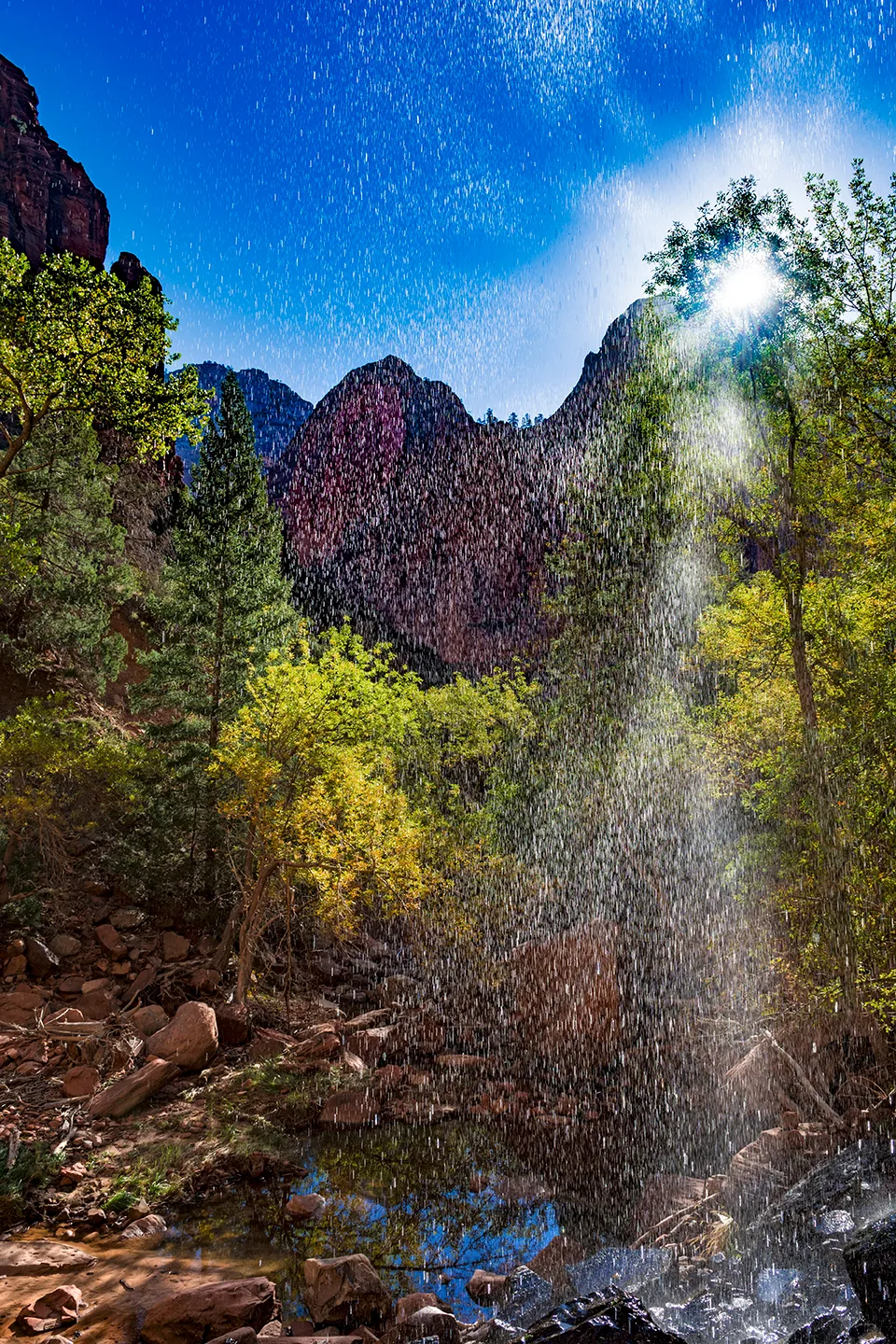 Zion 7