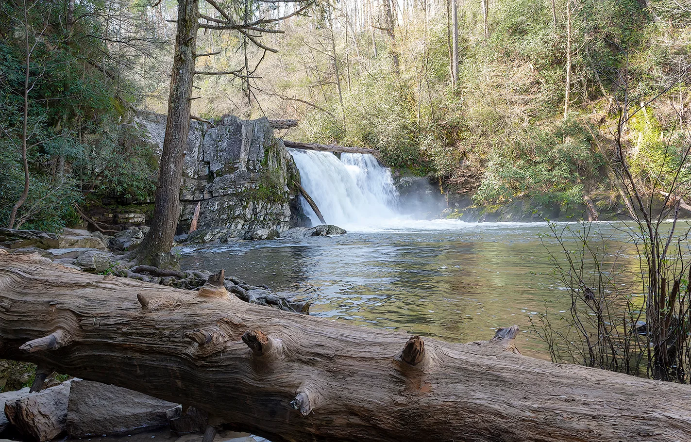 Abramefalls 3