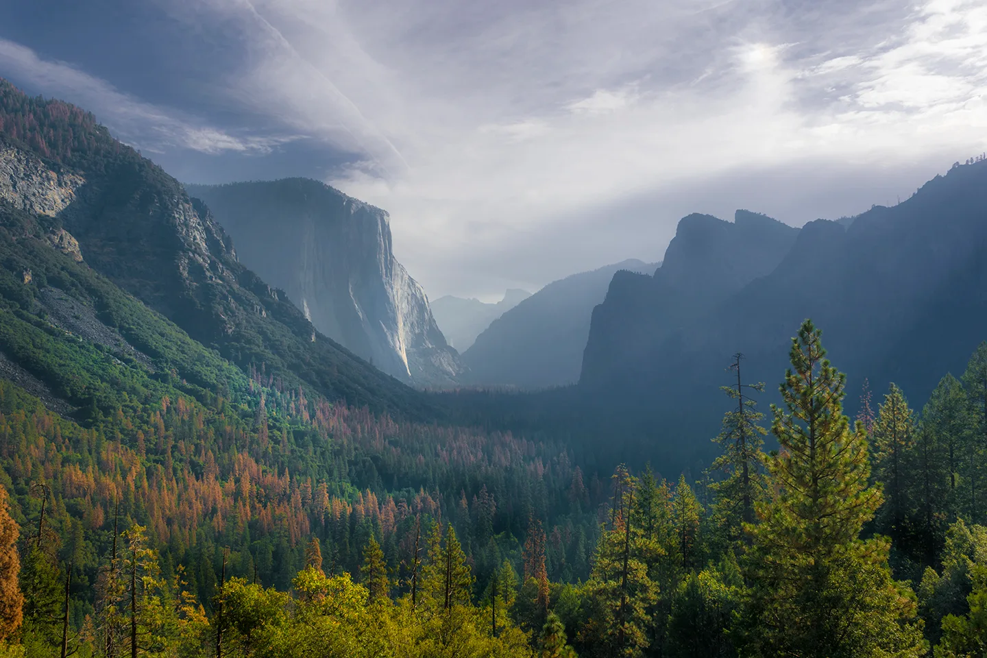 Yosemite 56