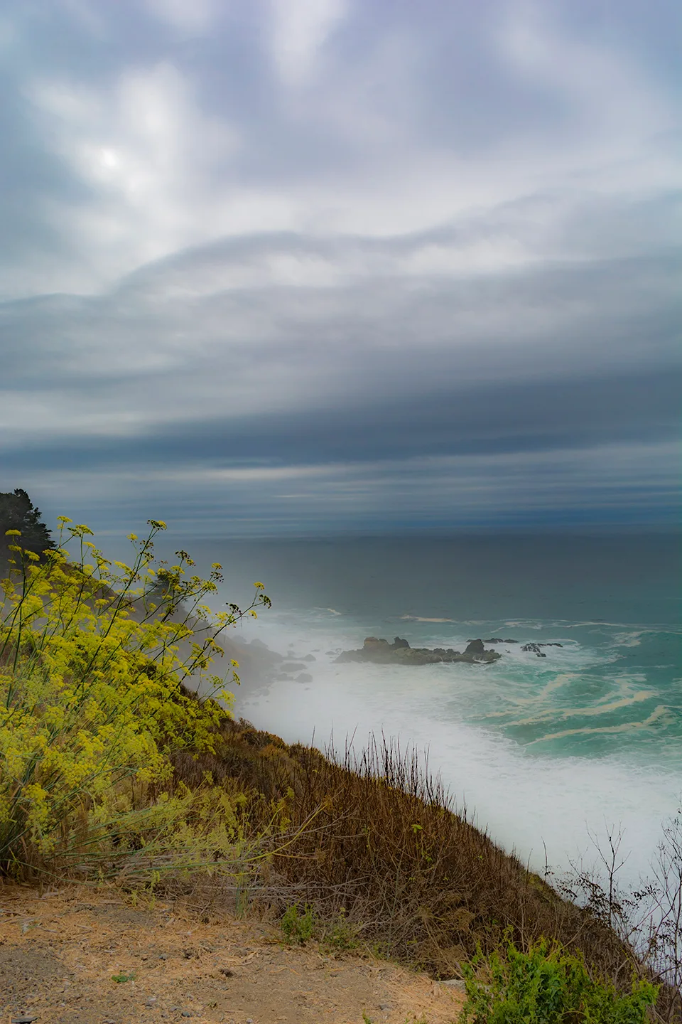 Pacifichighway 20