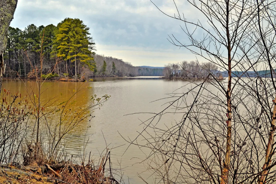 Wildlife Access 2