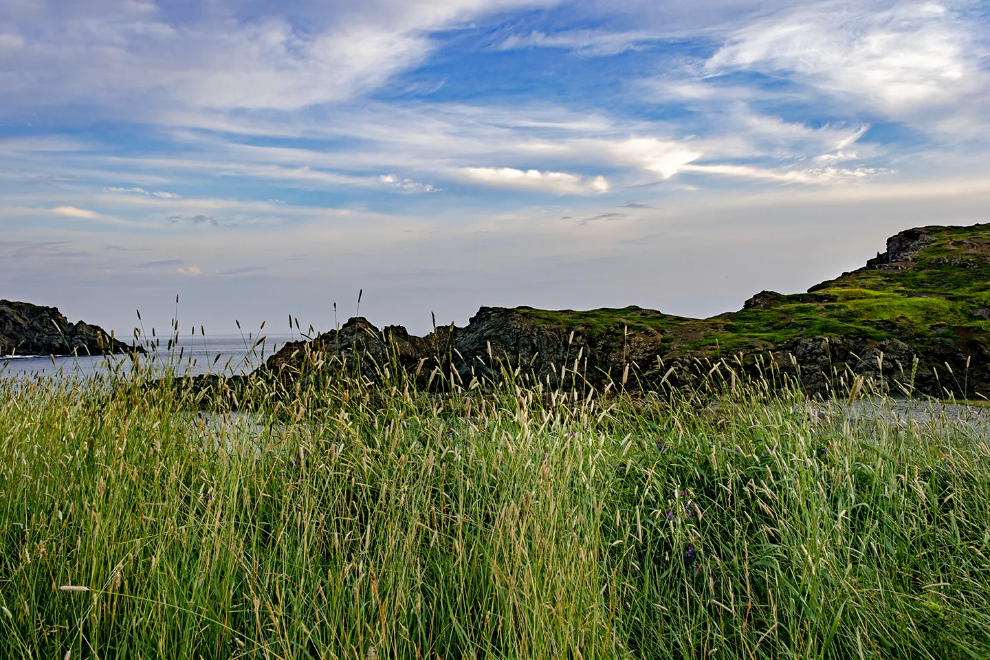 Twillingate 47