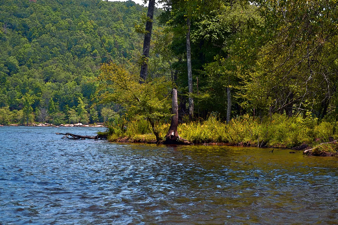 Yadkin-Peedee 21