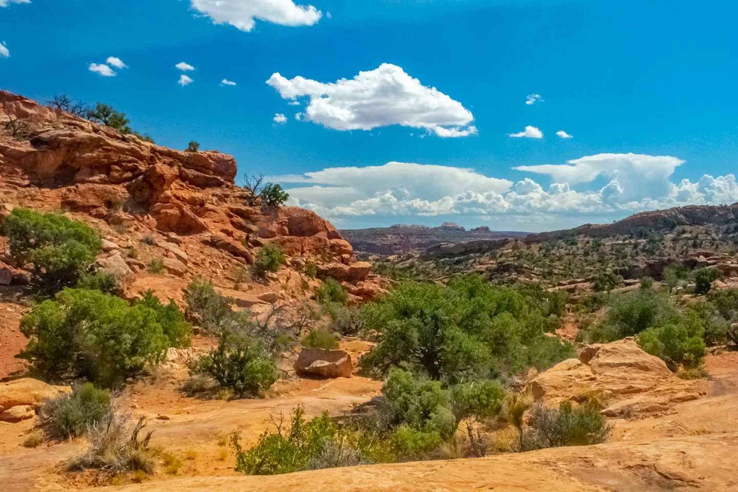 Canyonland 2019 2