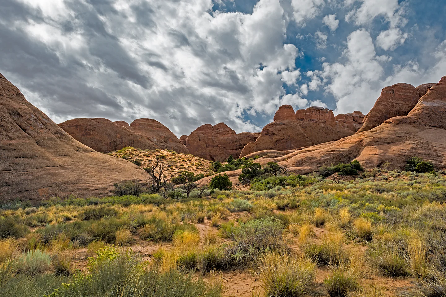 Wyoming 12