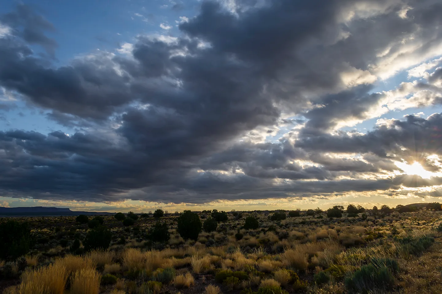 Southernutah 6