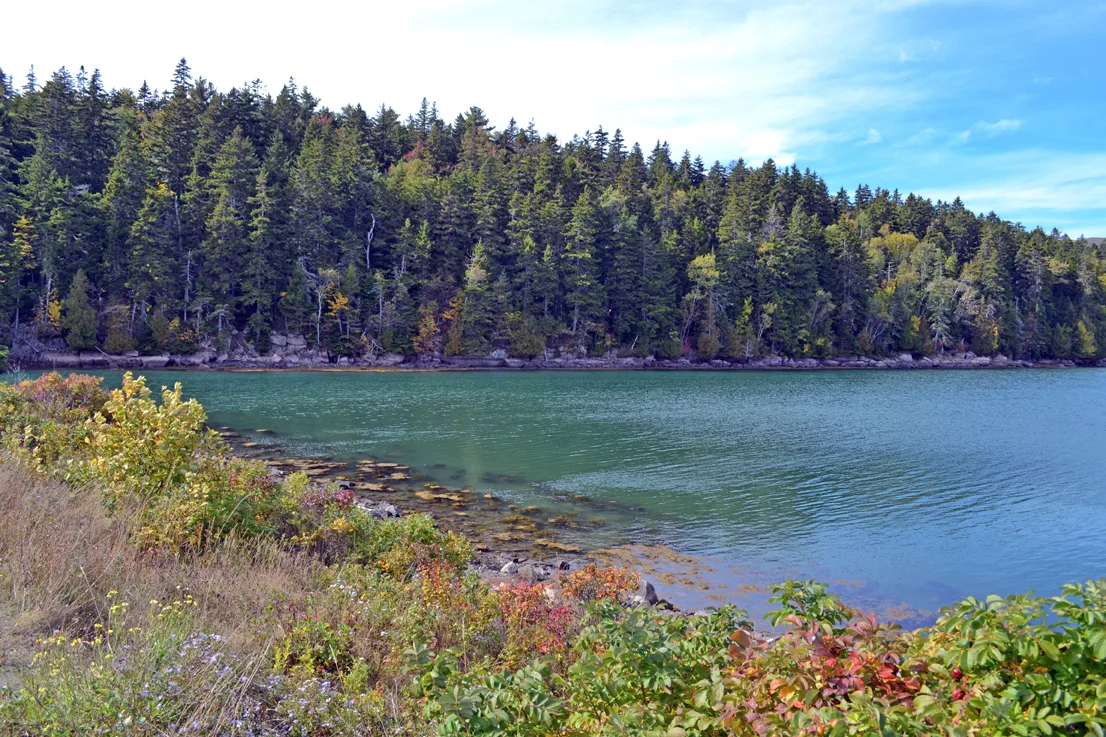 Acadia Pond 3