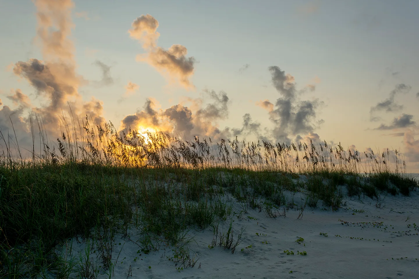 Sunrisehbsp 24