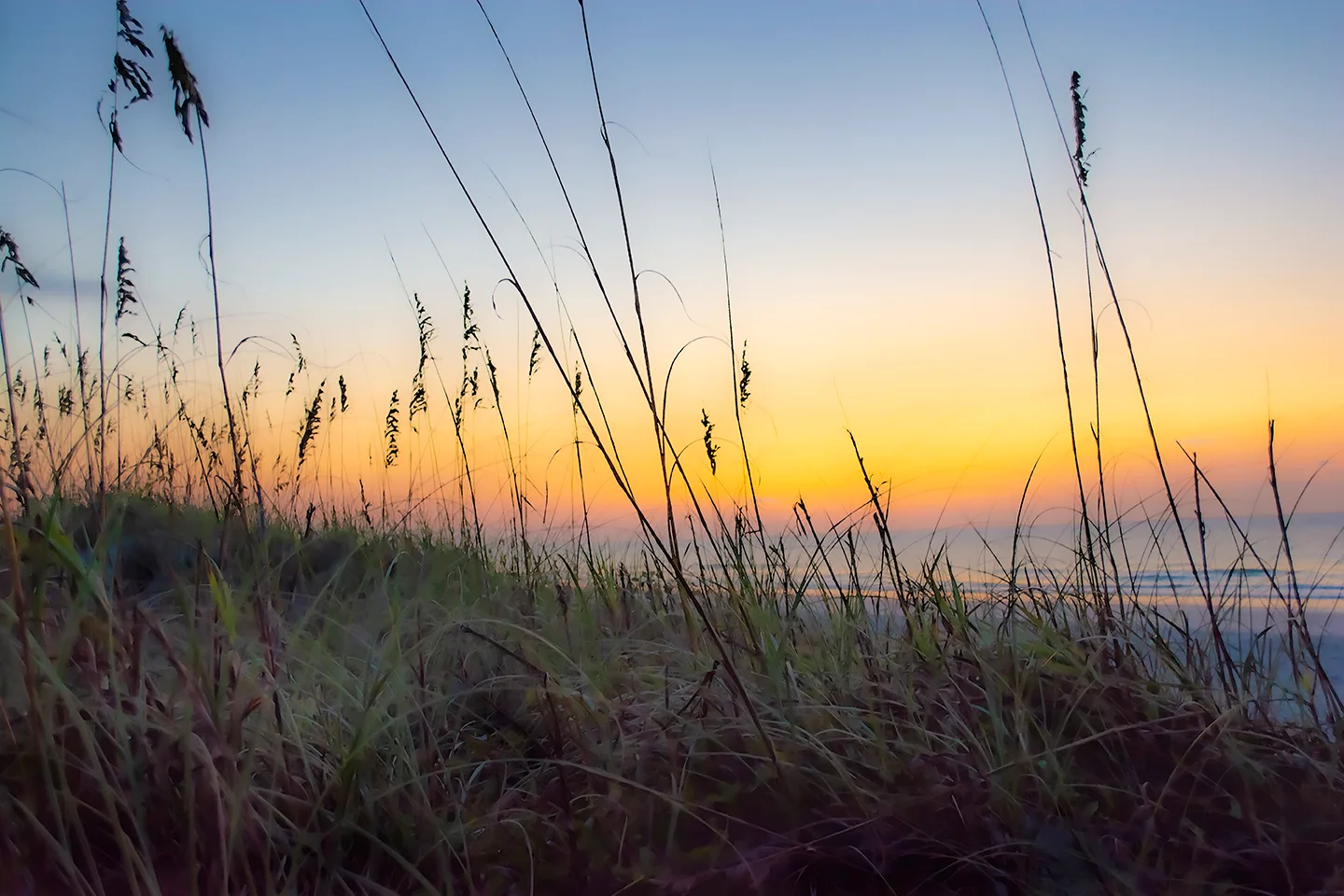 Sunrisehbsp 39