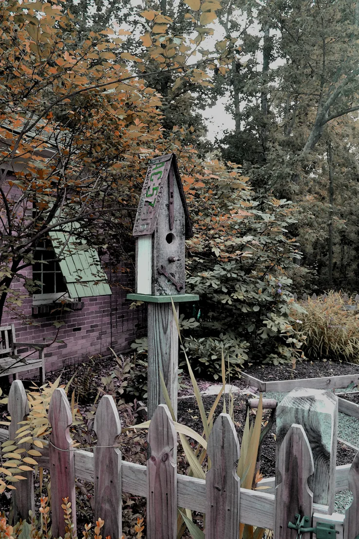 Birdhouse 3