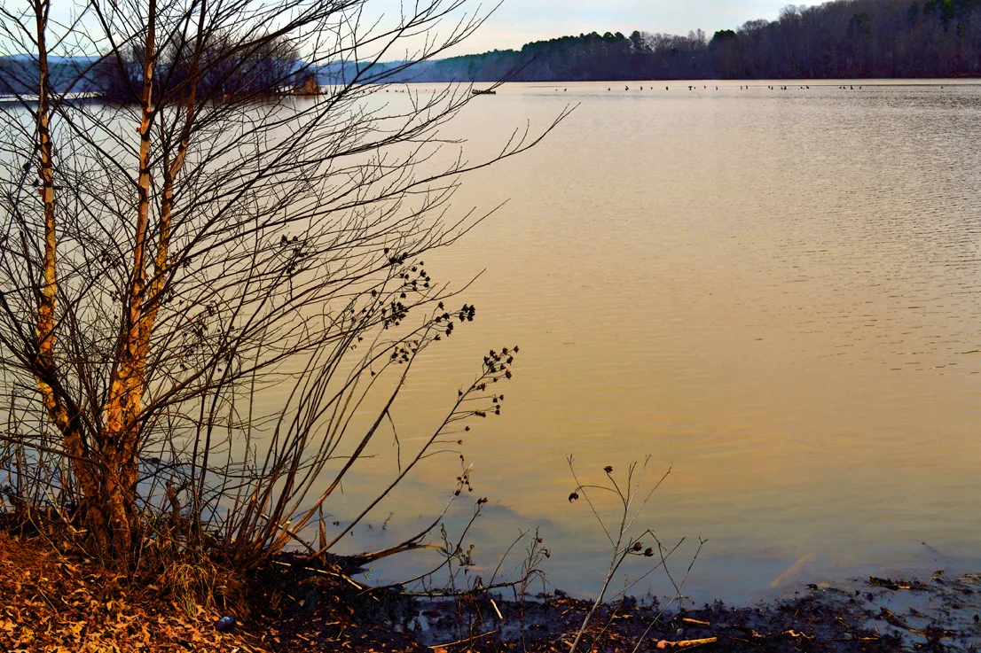 Wildlife Access 3