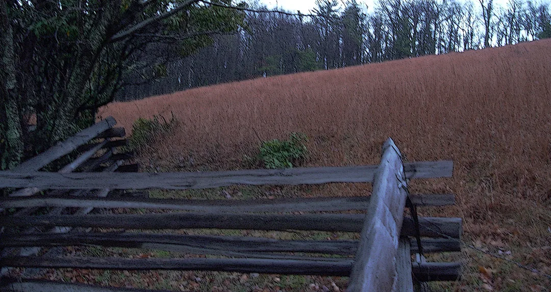Fence