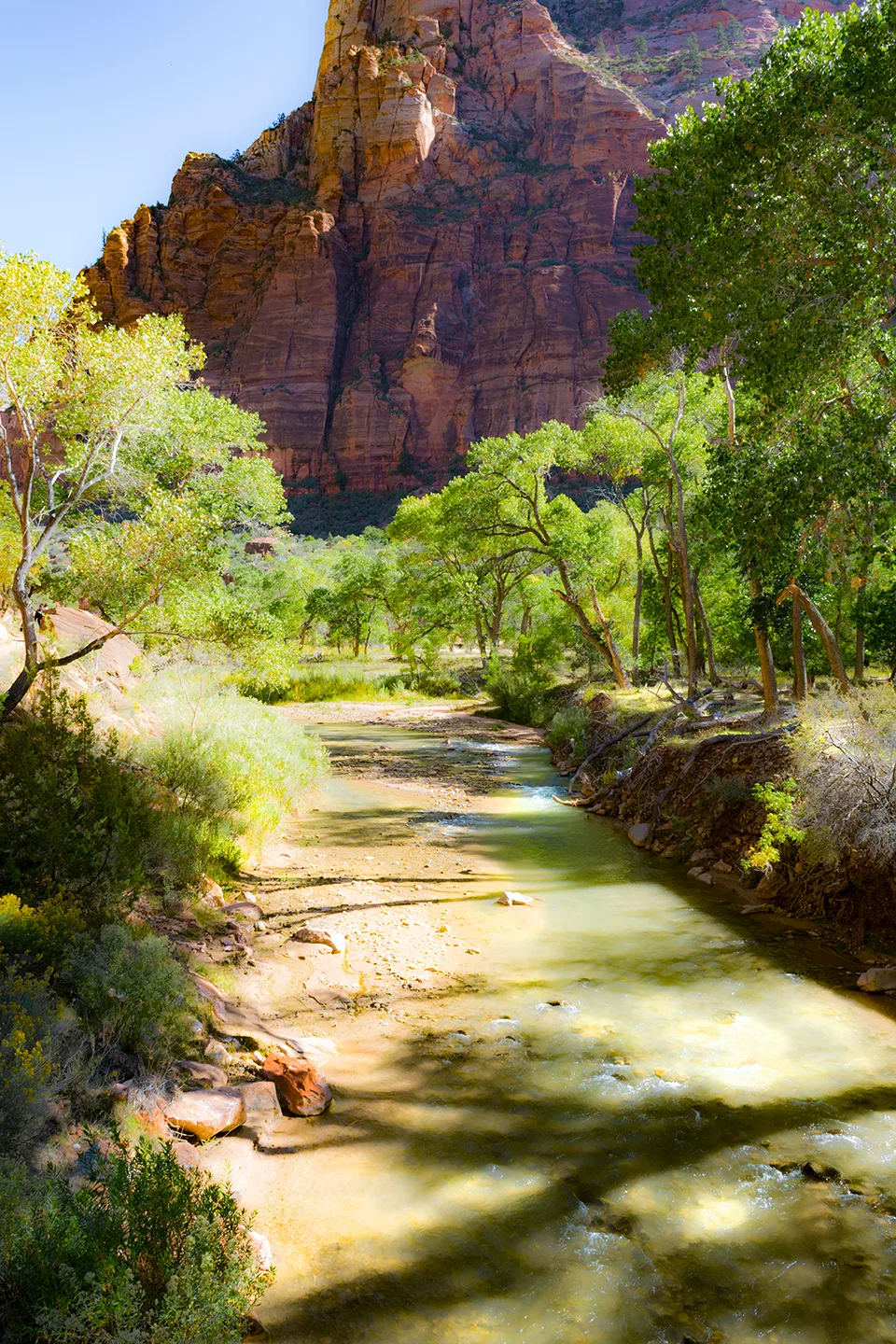 Zion 28