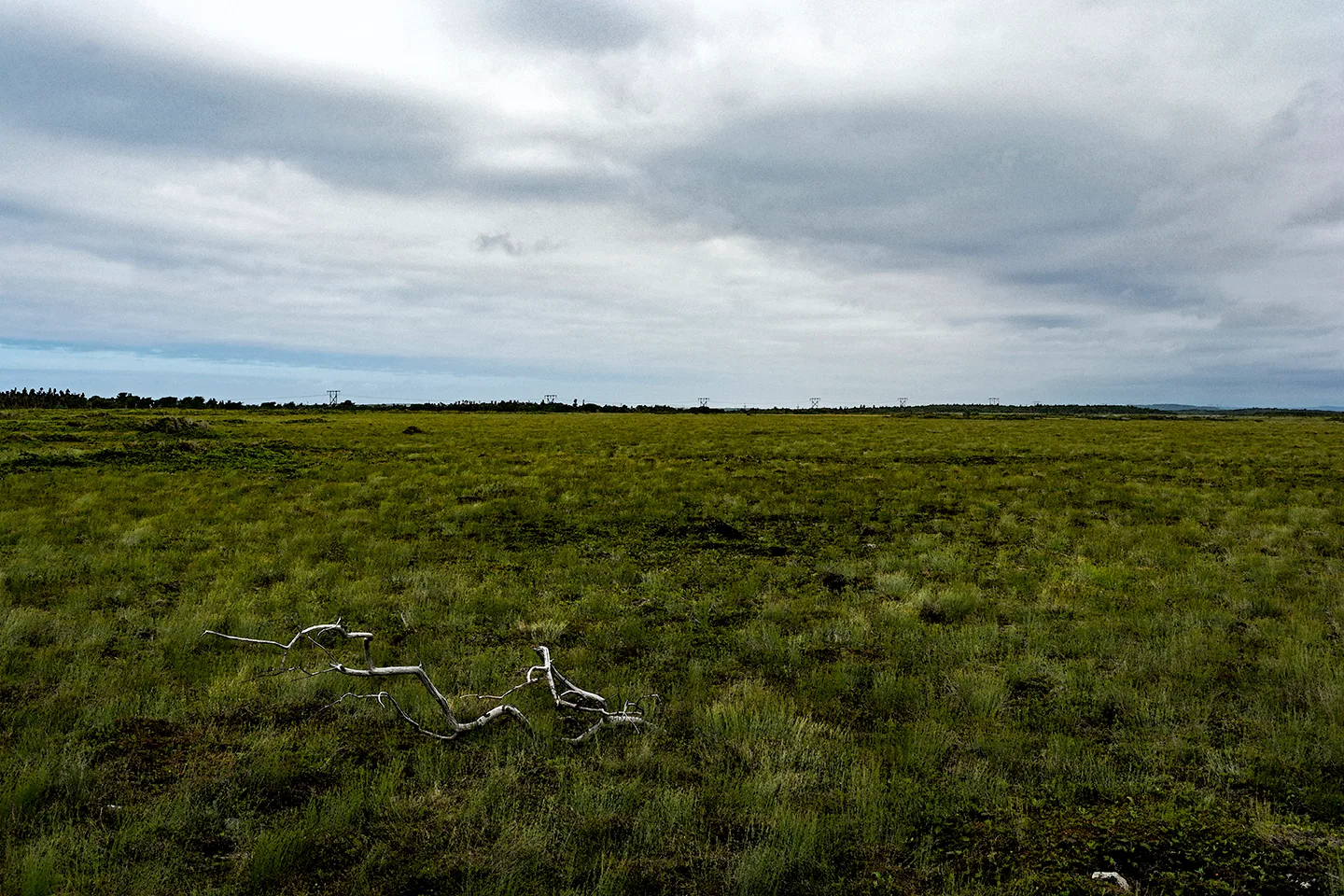 Westernbrookhike 3