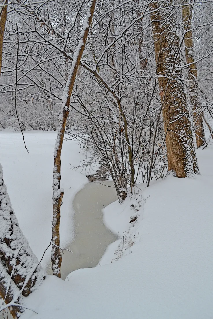 Yard Snow 2