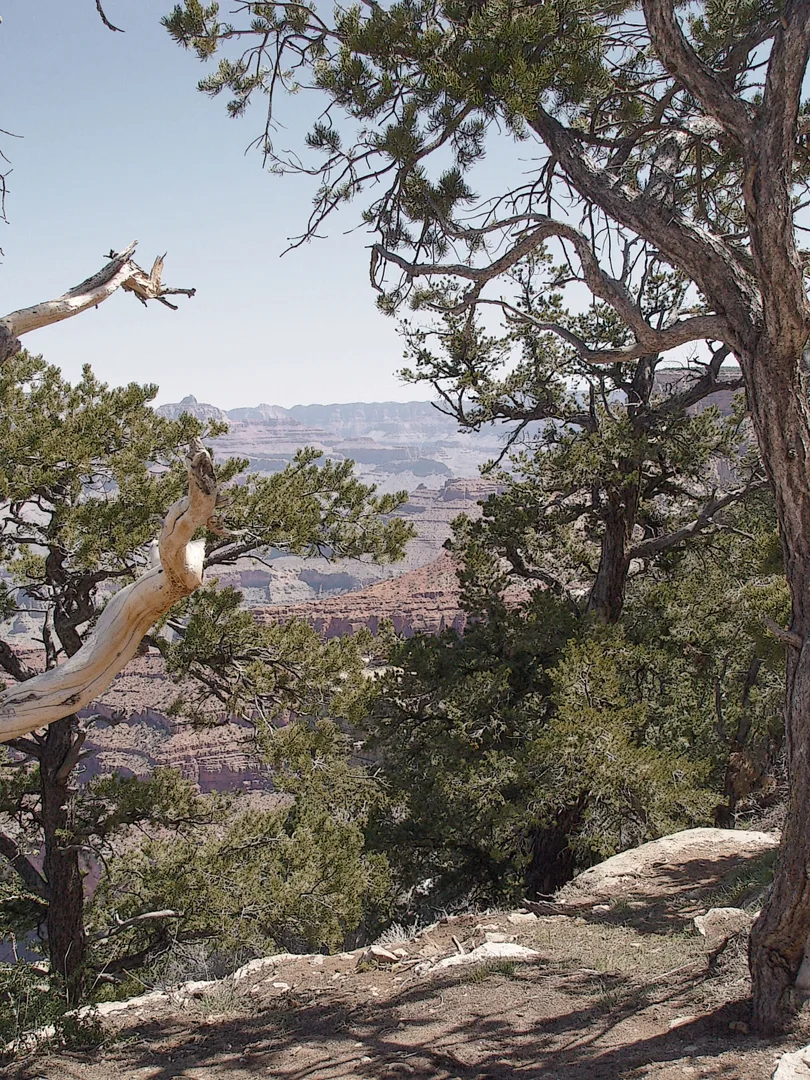 Canyon 4 Poster