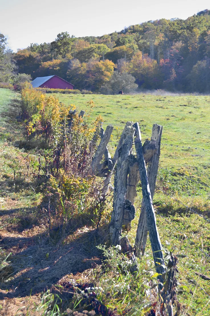 Barbed Fence 2