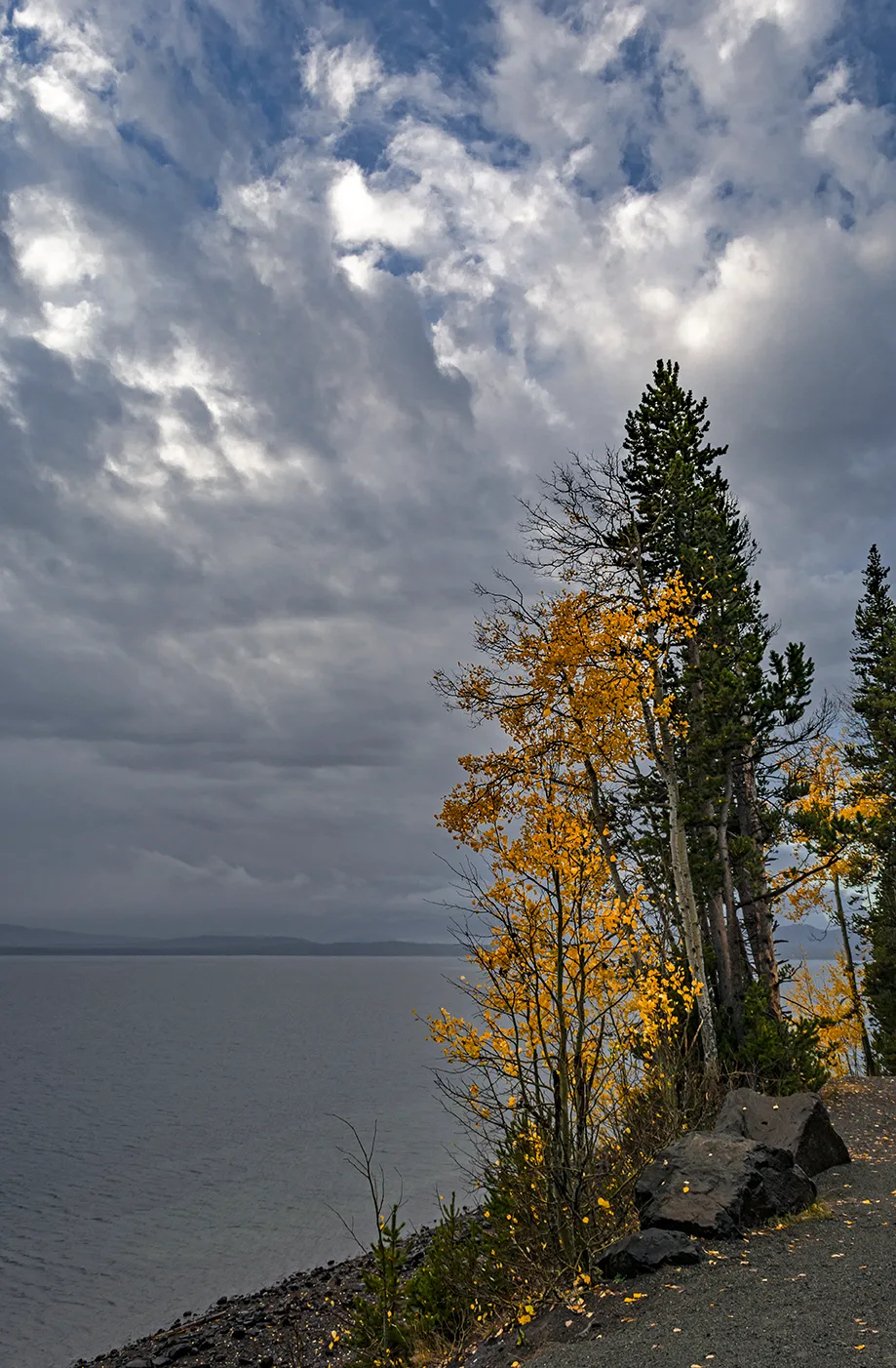 Yellowstone 33