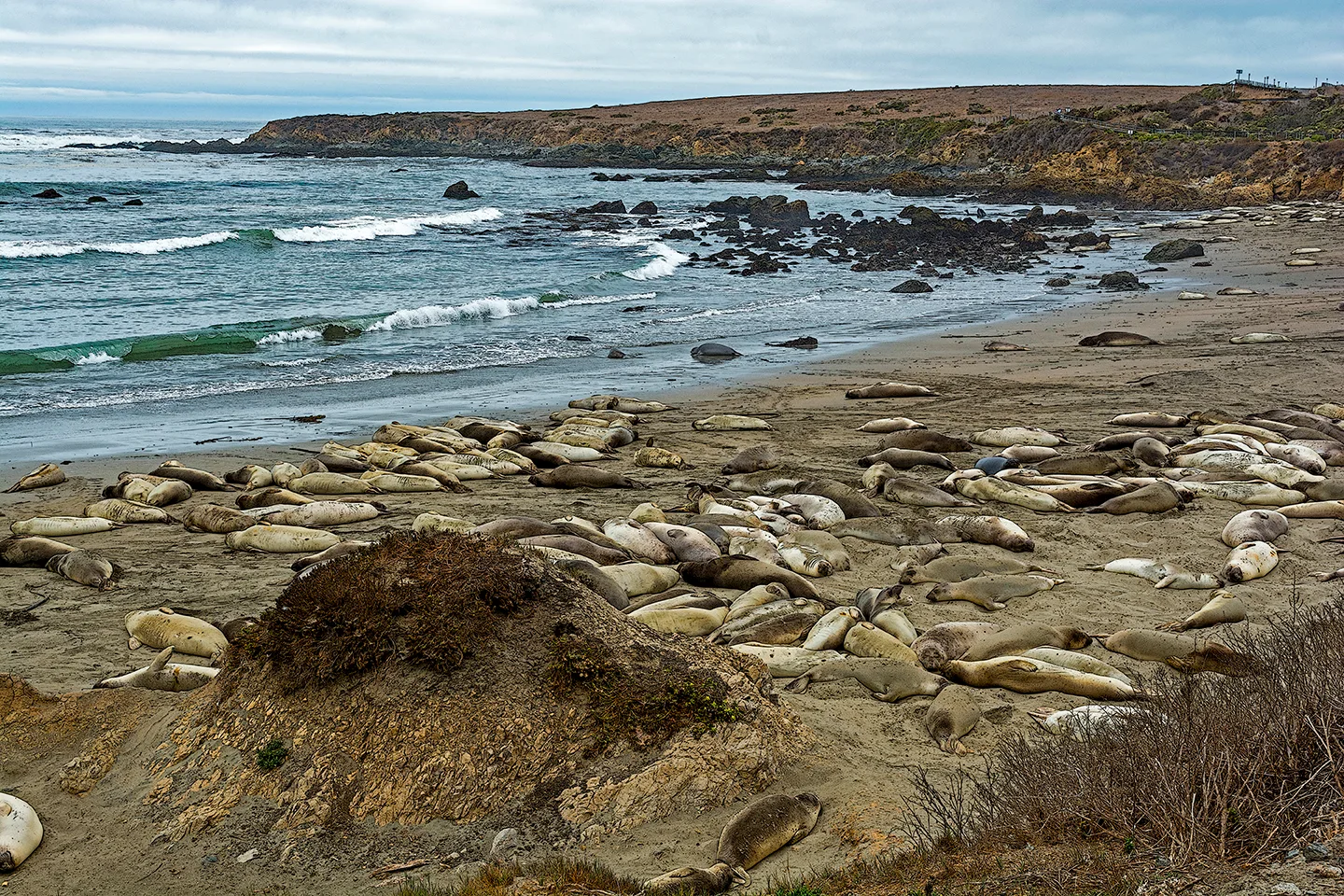 Pacifichighway 25