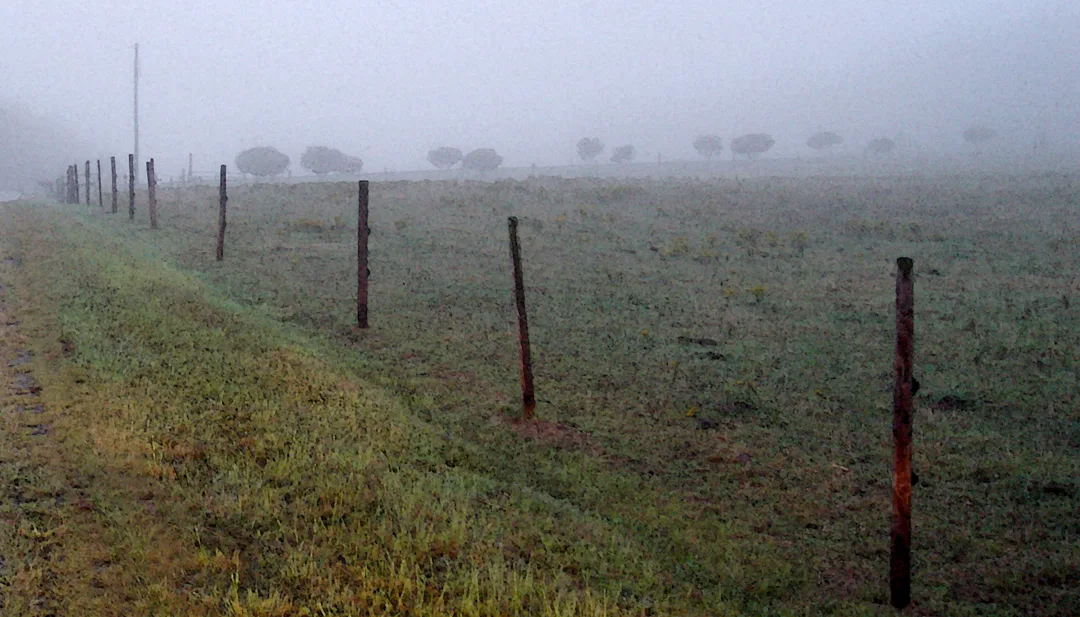 Fence Posts 1