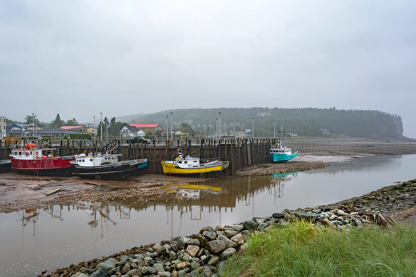 Newbrunswickalma 7