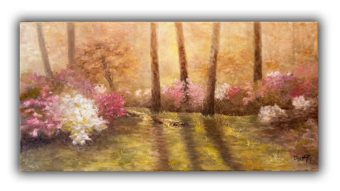 Sabra's Azaleas