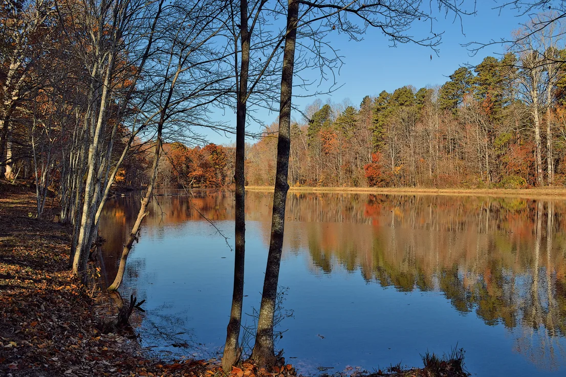 Landis Lake 4
