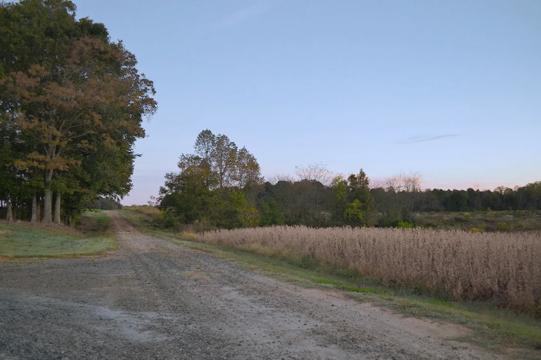 Cc Road 7