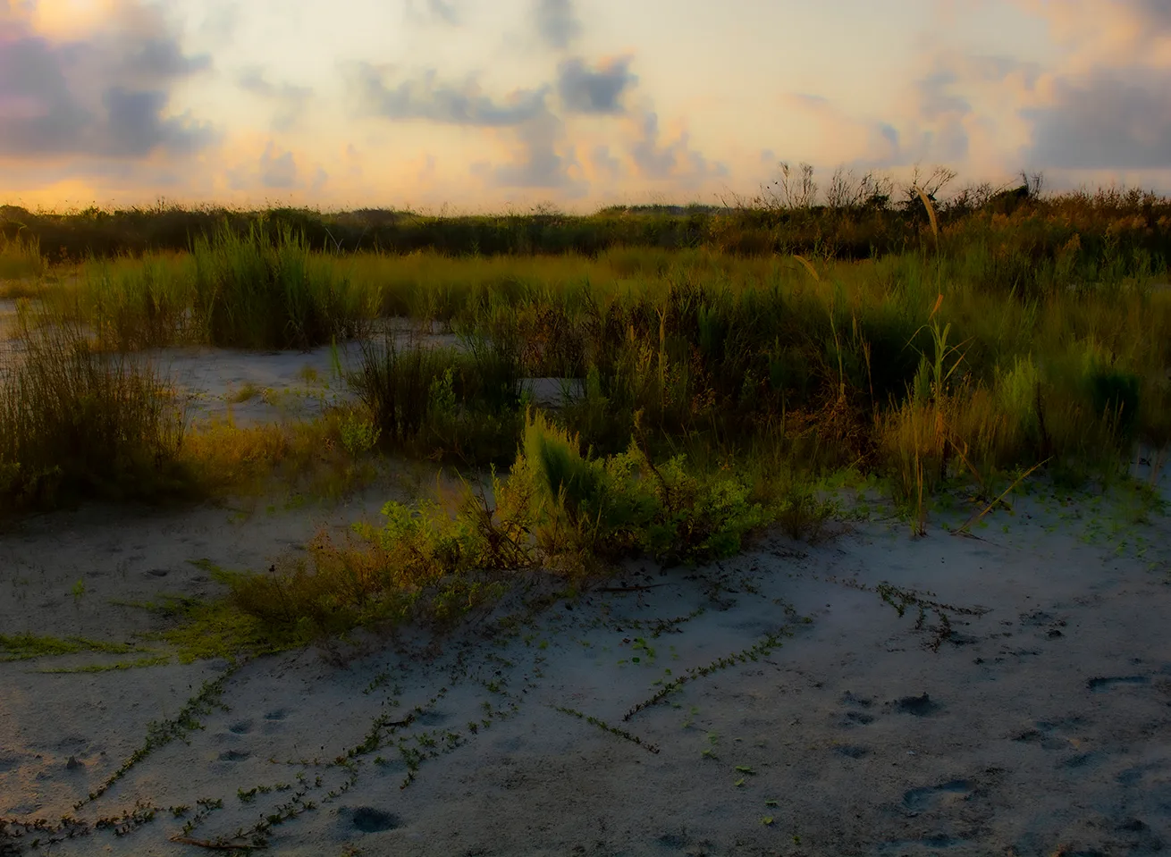 Sunrisehbsp 50