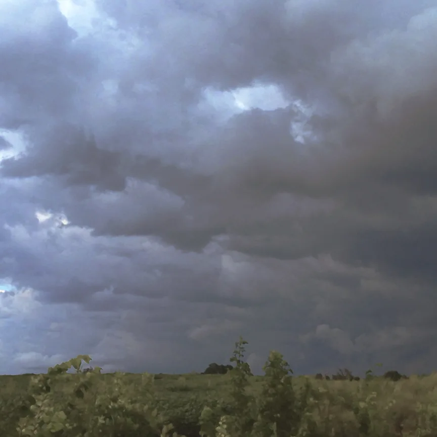 Clouds 1