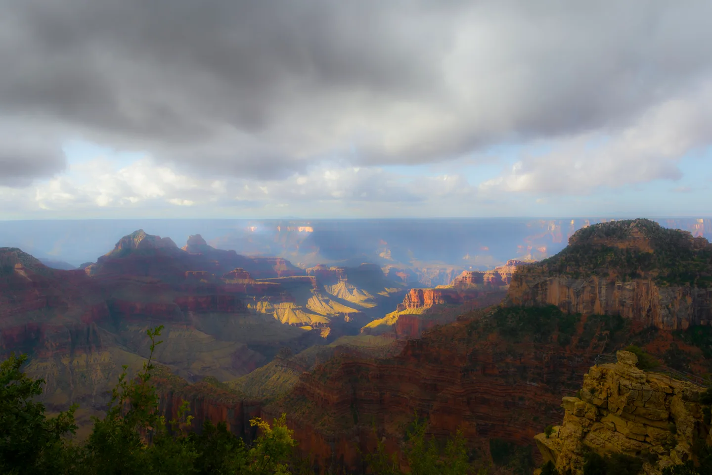 Northrim 11