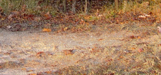 Autumn Ground