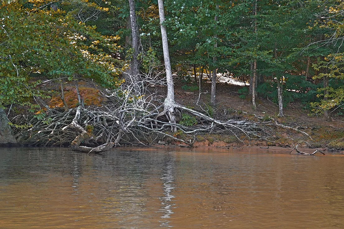 Yadkin-Peedee 17