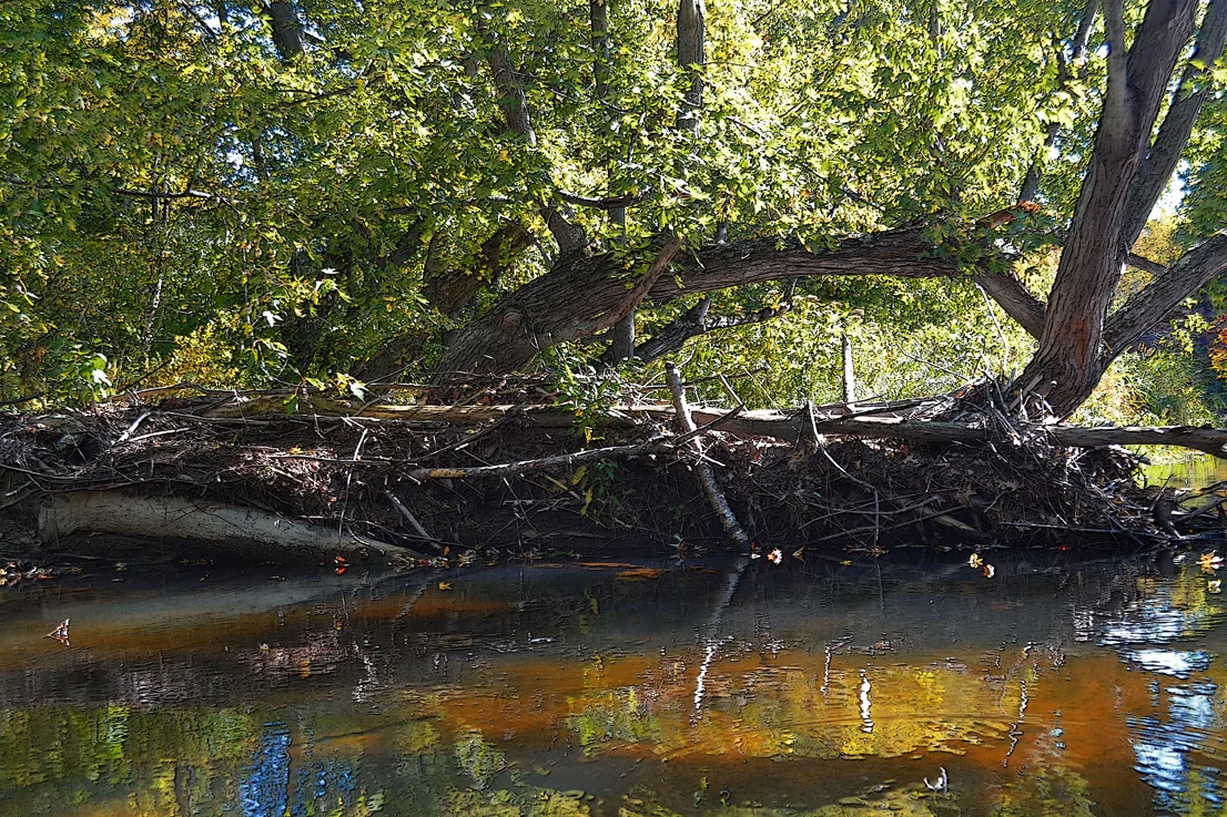 Kayaking 4