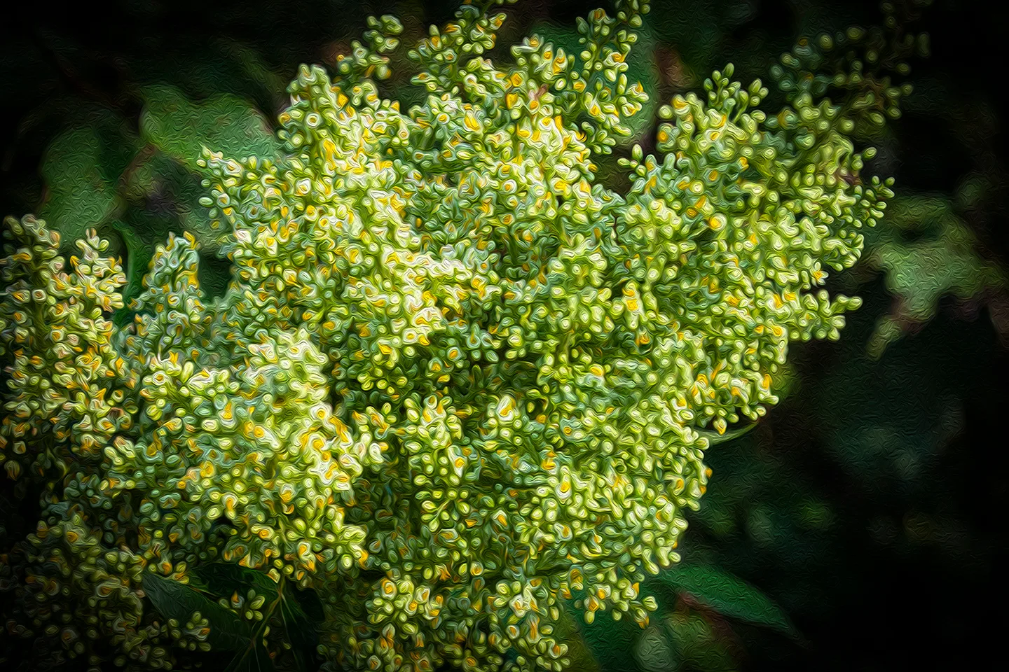 Treefloweroil