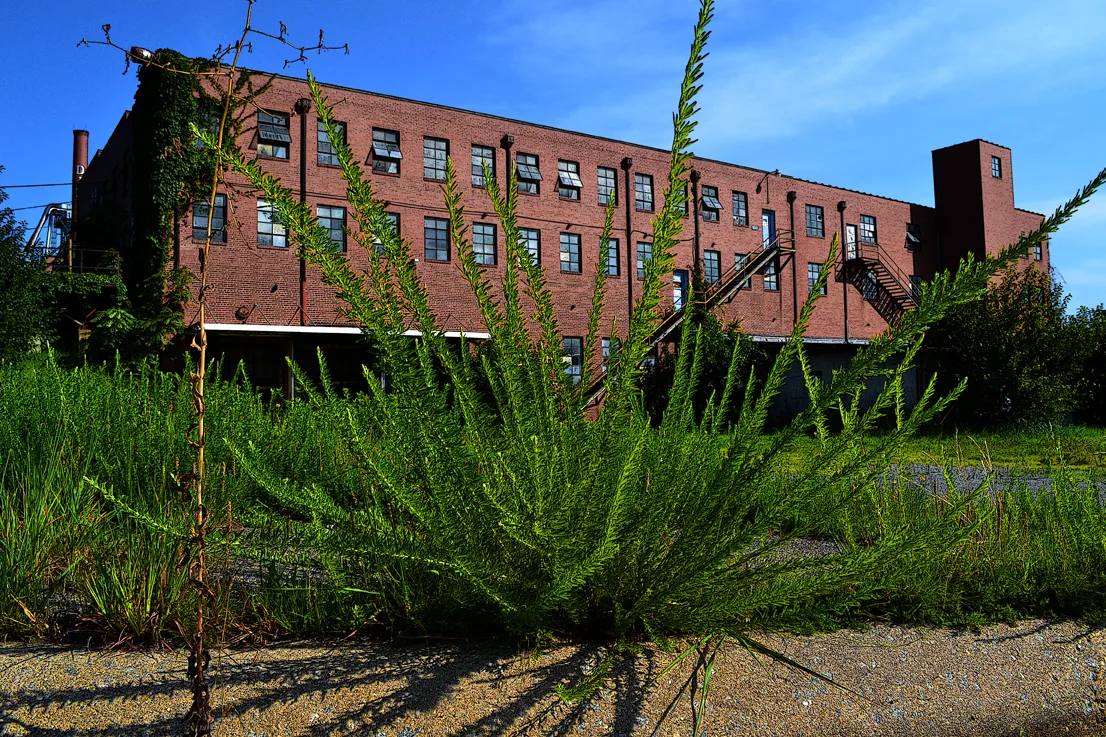Factory 5