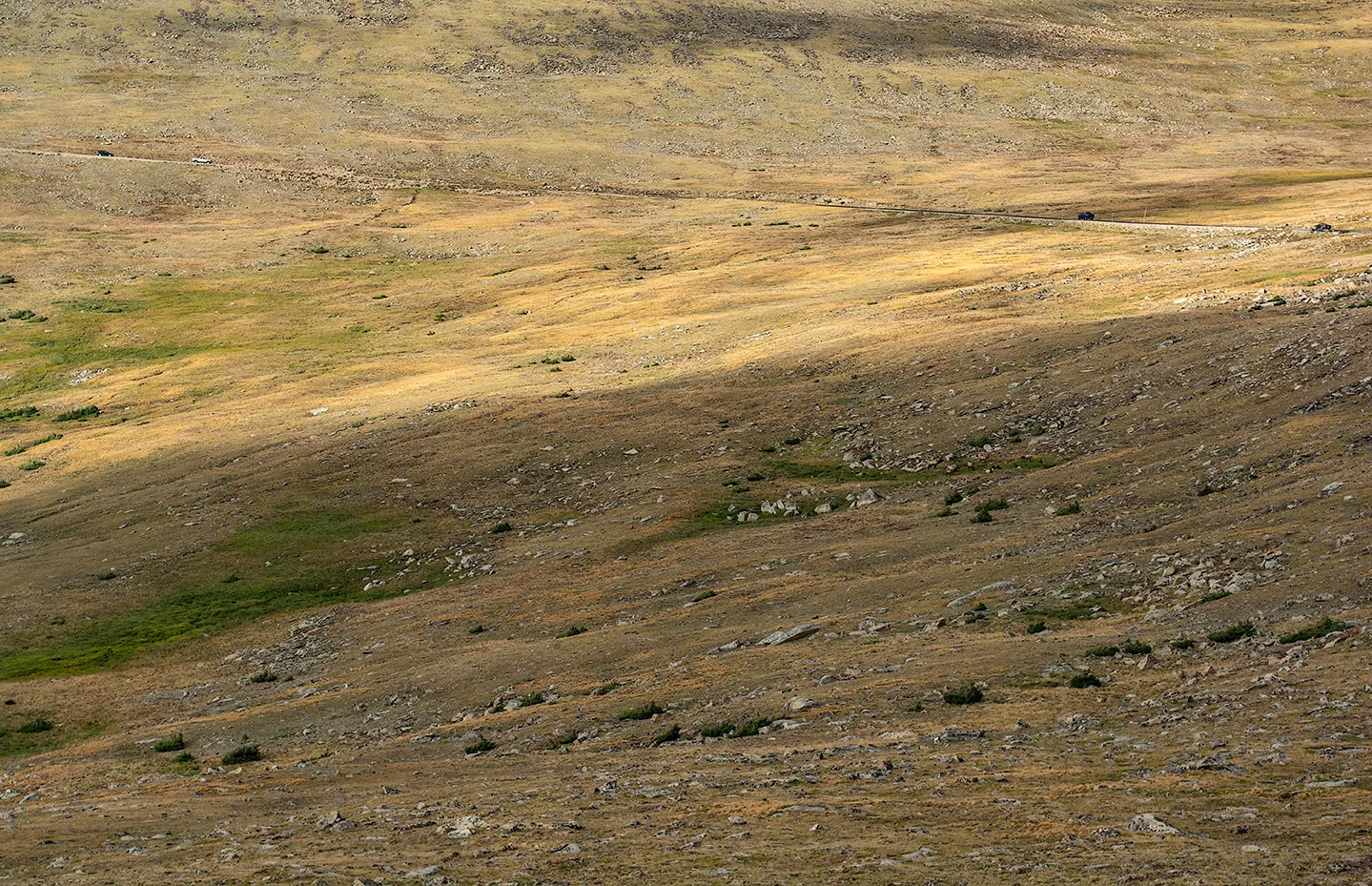 Rockymtn 20