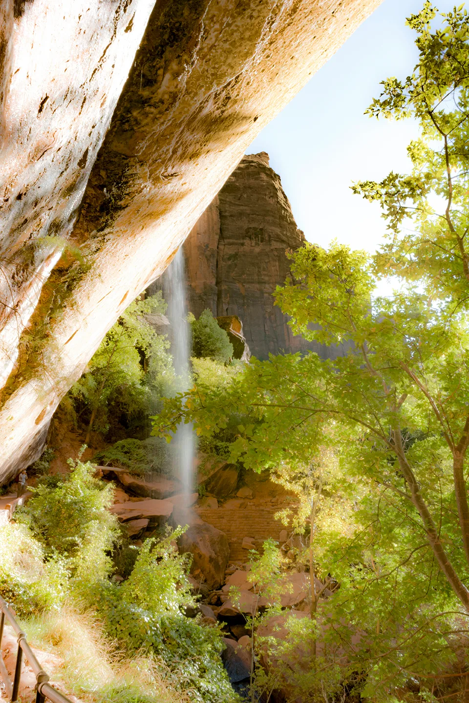Zion 10