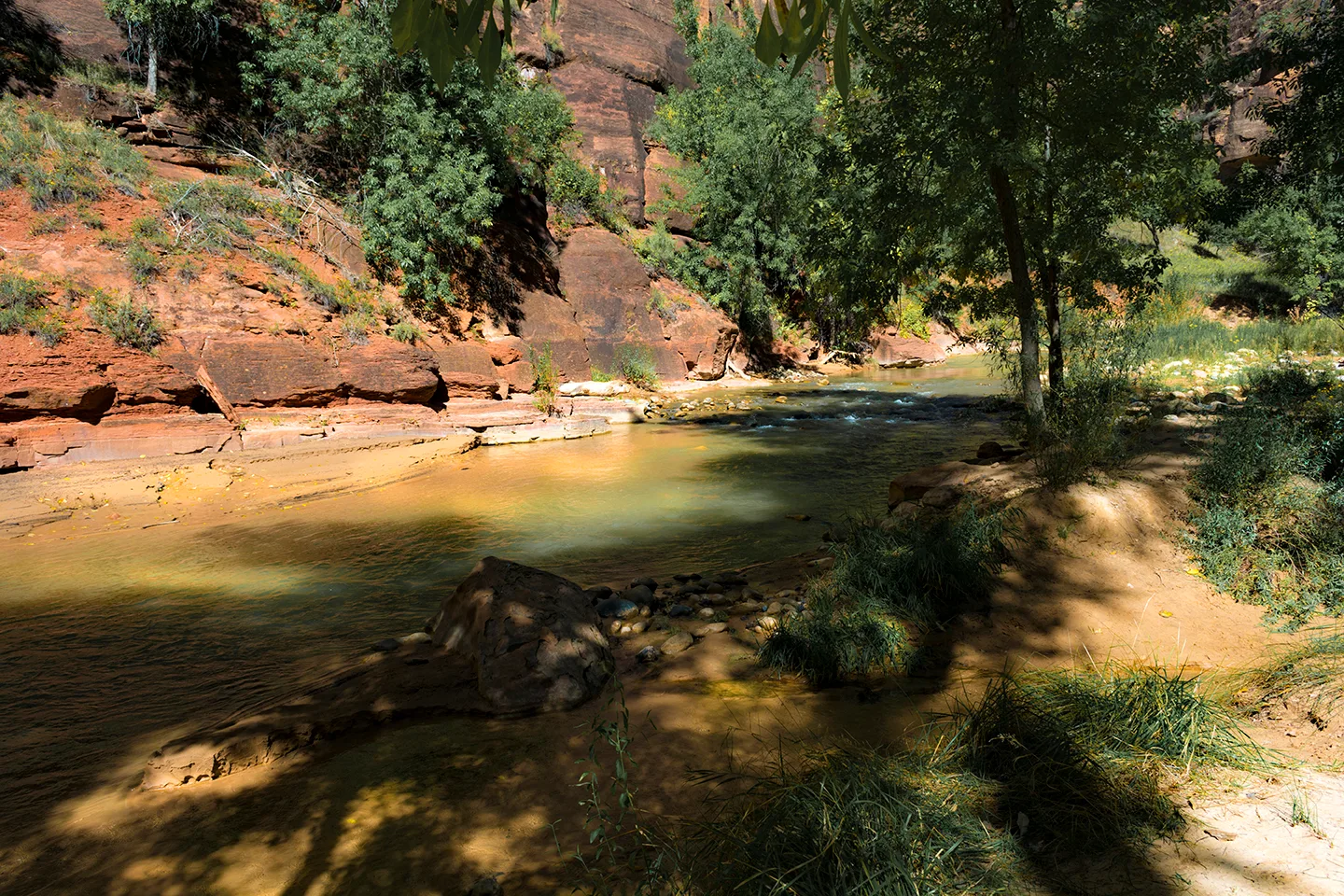 Zion 42