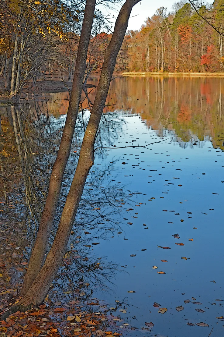 Landis Lake 2