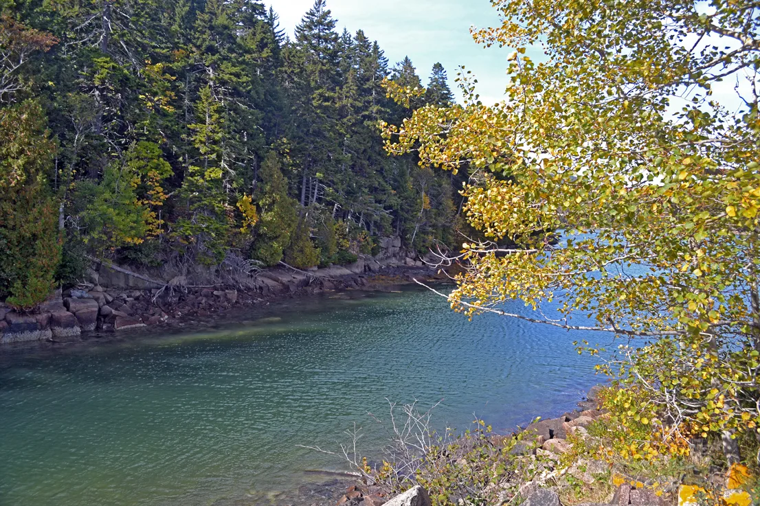 Acadia Pond 6