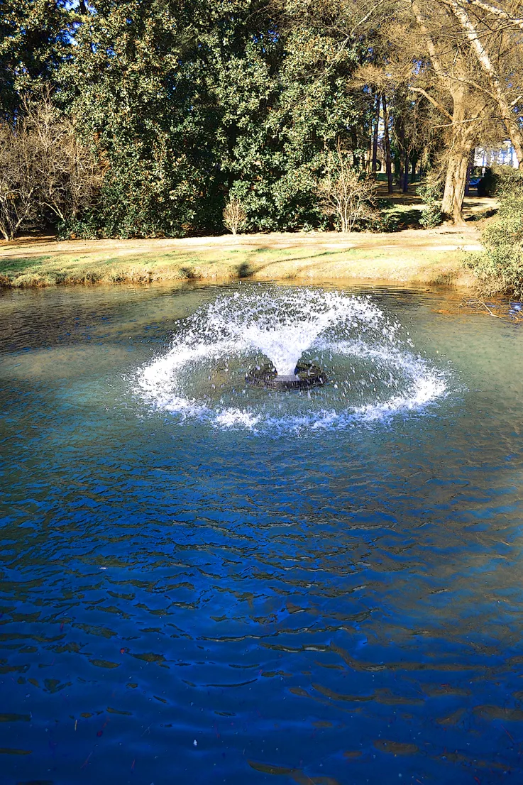 Fountain 10
